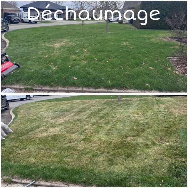 Déchaumage
